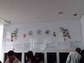 2017七夕展