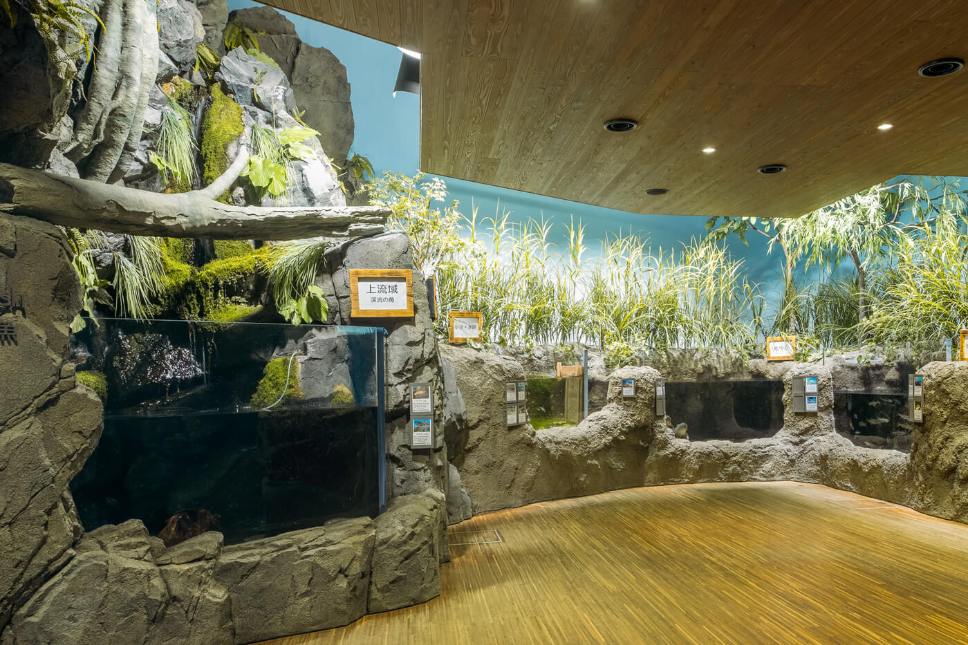 庄内の川や池・庄内の海