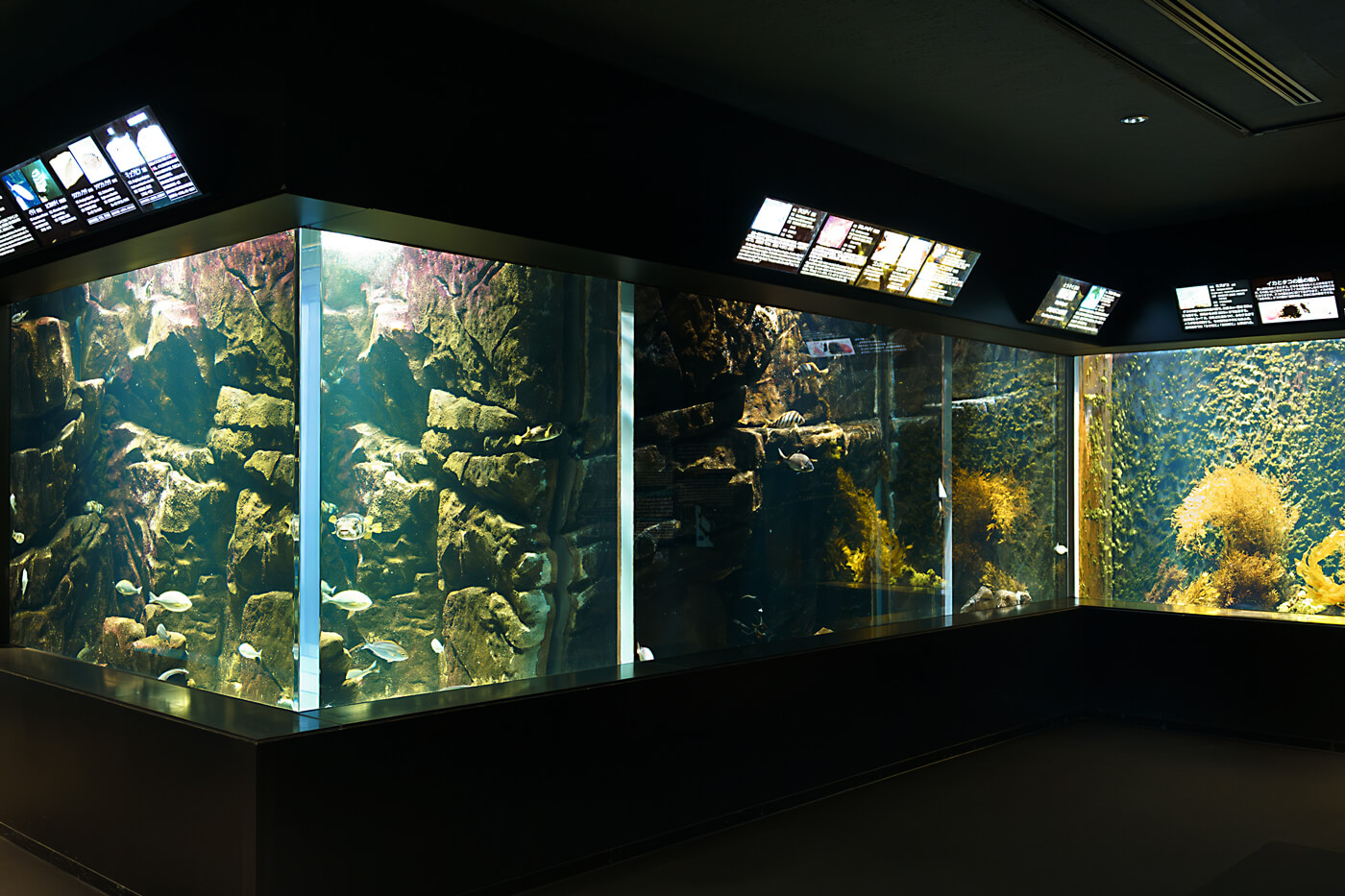 庄内の川や池・庄内の海