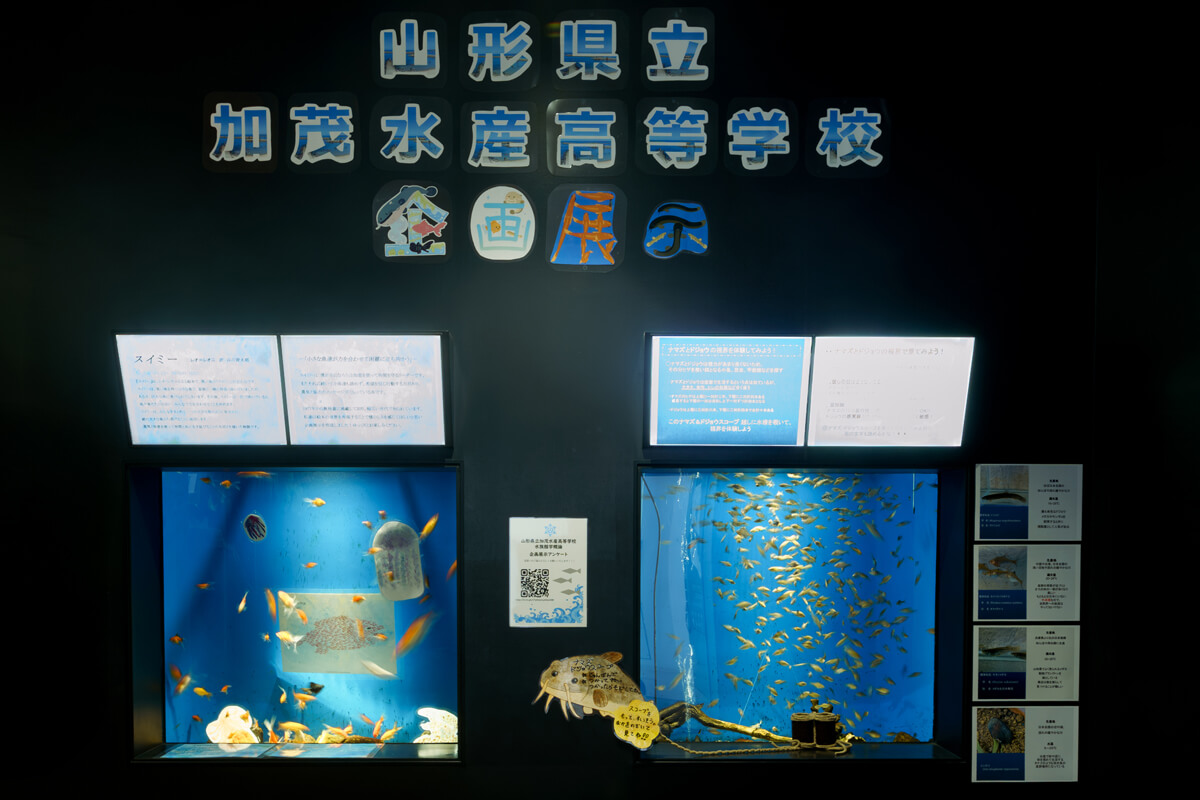 庄内の川や池・庄内の海