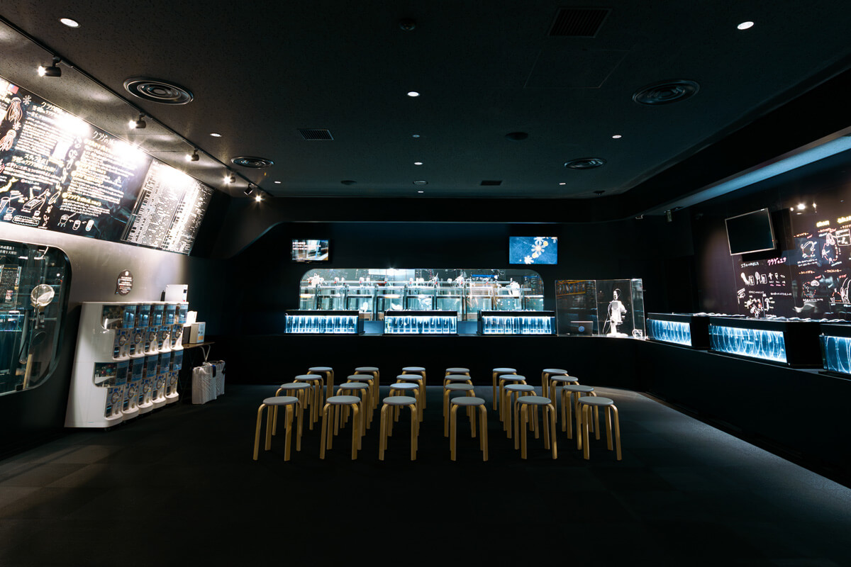 マイクロアクアリウム メイン画像2