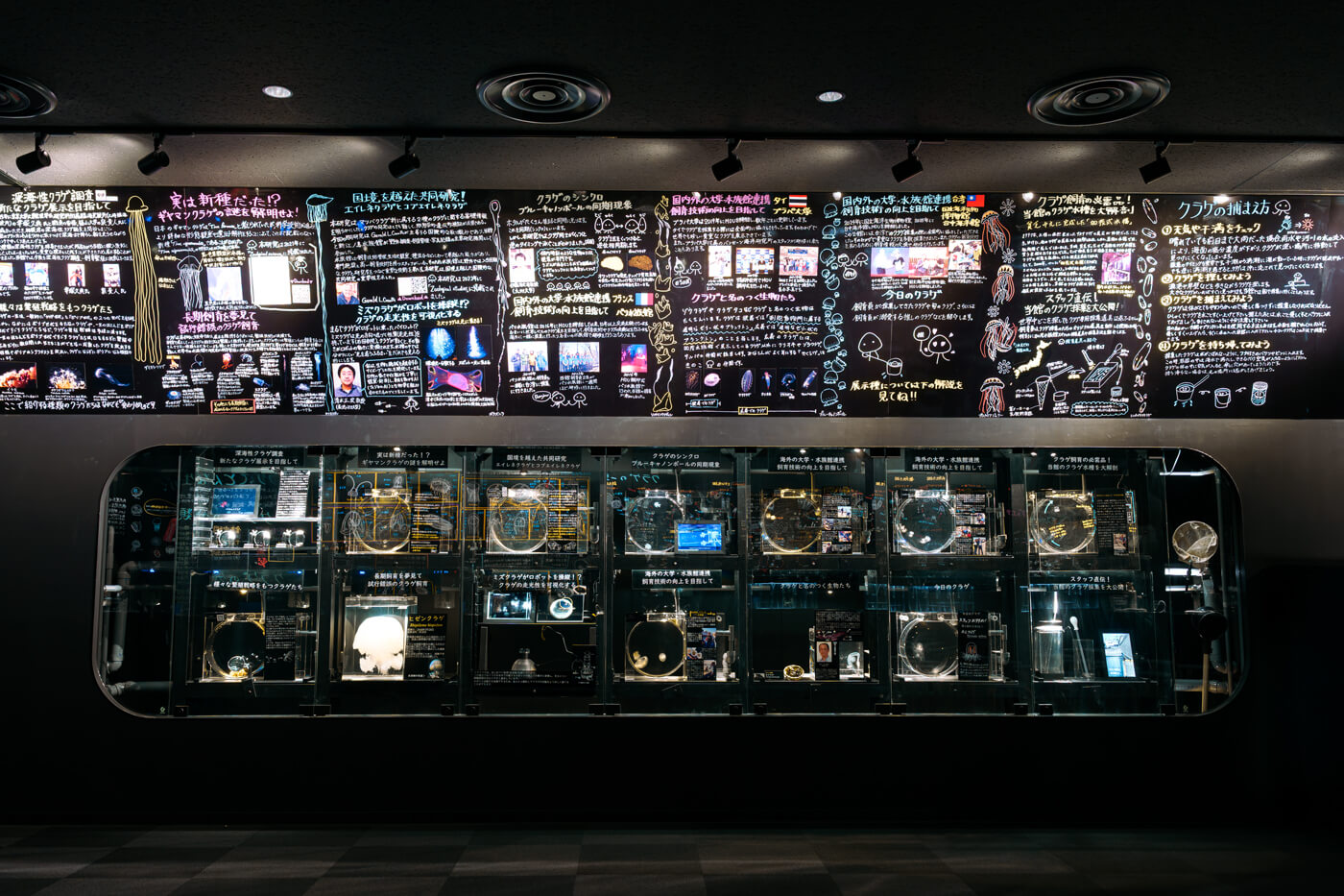 マイクロアクアリウム メイン画像3