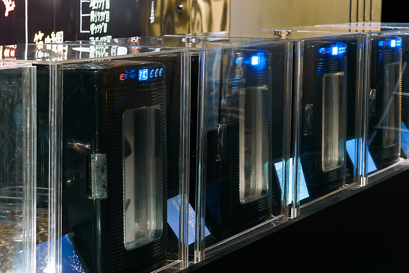 マイクロアクアリウム