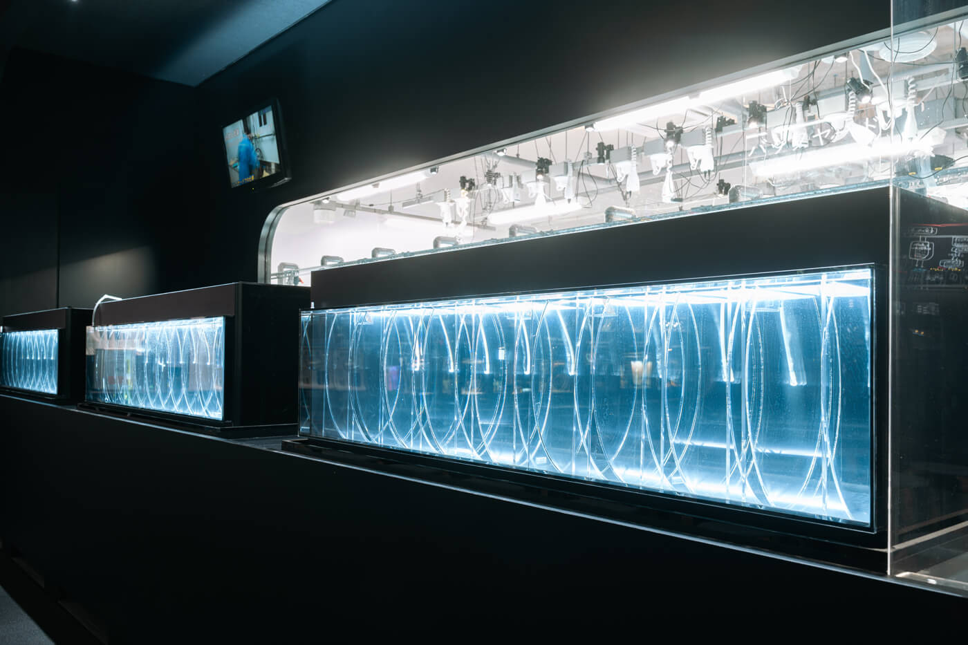 マイクロアクアリウム サブ画像