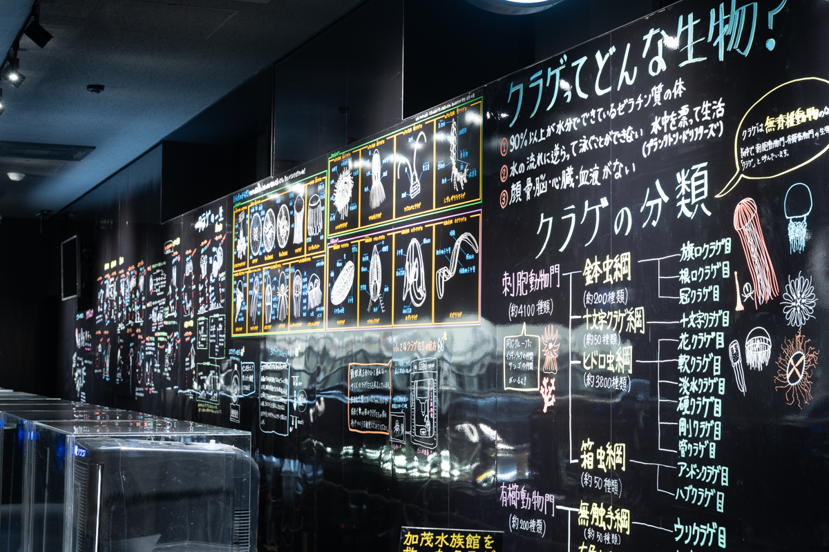 マイクロアクアリウム