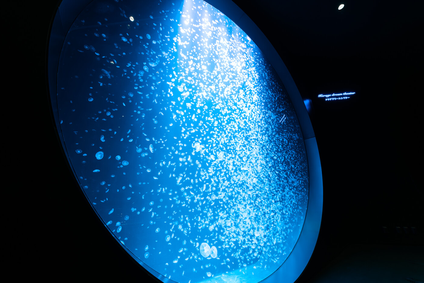 クラネタリウム メイン画像1