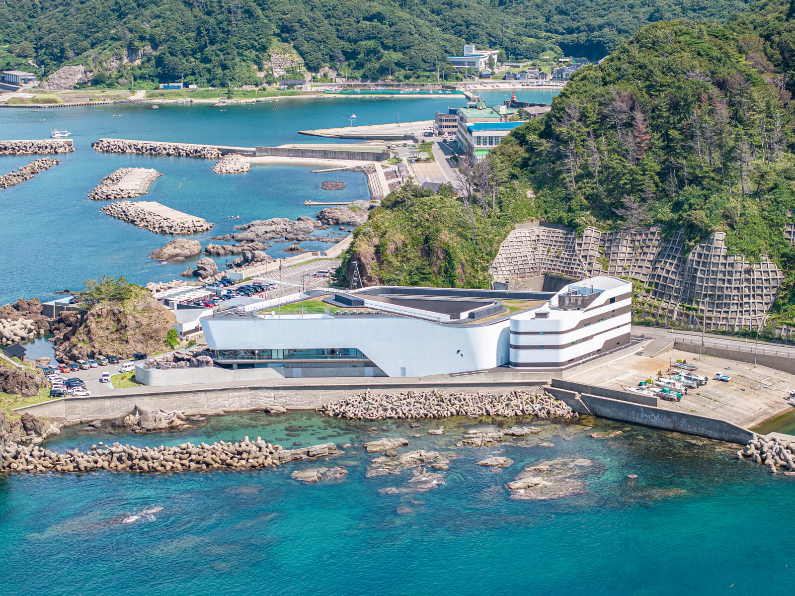 かもすいとは メイン画像2