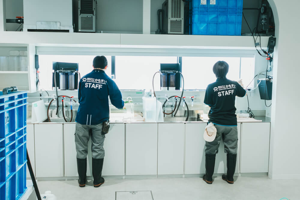 外観やイメージの伝わる写真画像