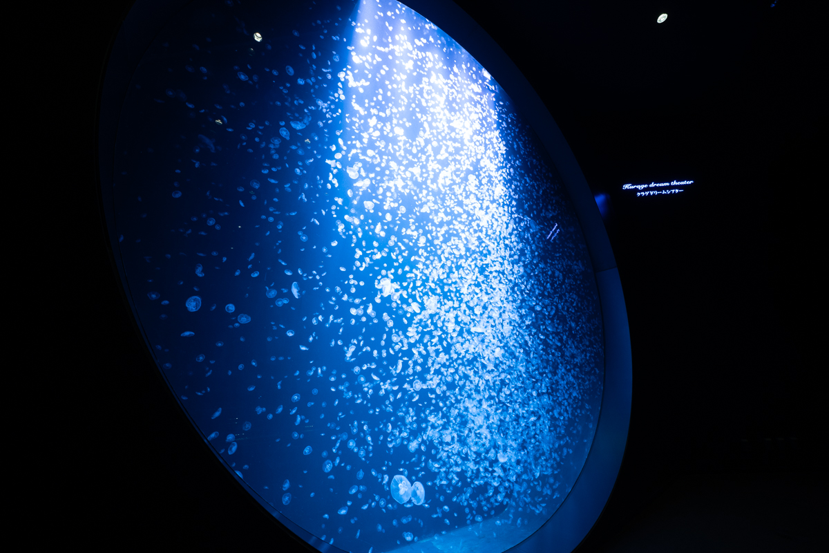 クラネタリウム