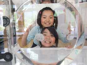 クラゲ飼育水槽貸出