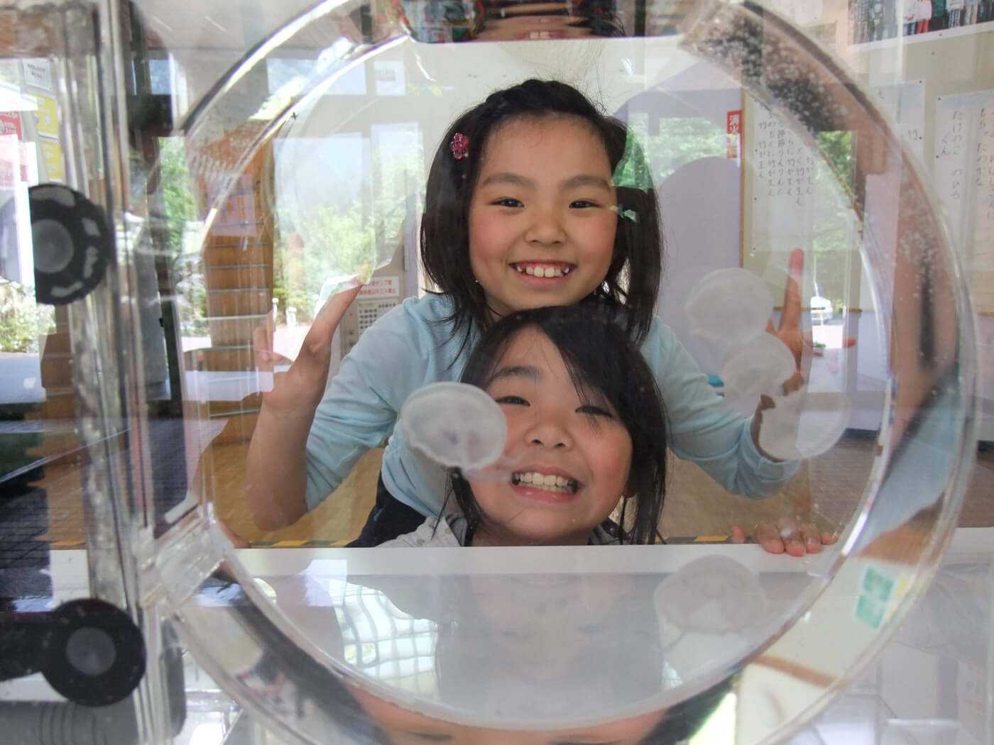 クラゲ飼育水槽貸出 画像1