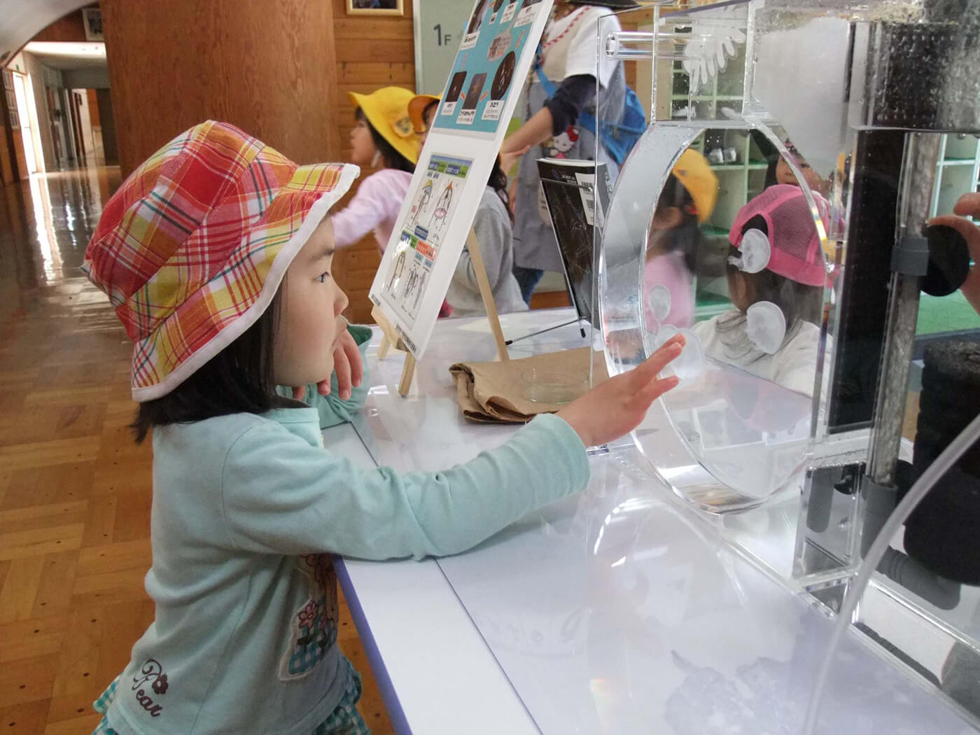 クラゲ飼育水槽貸出 画像2