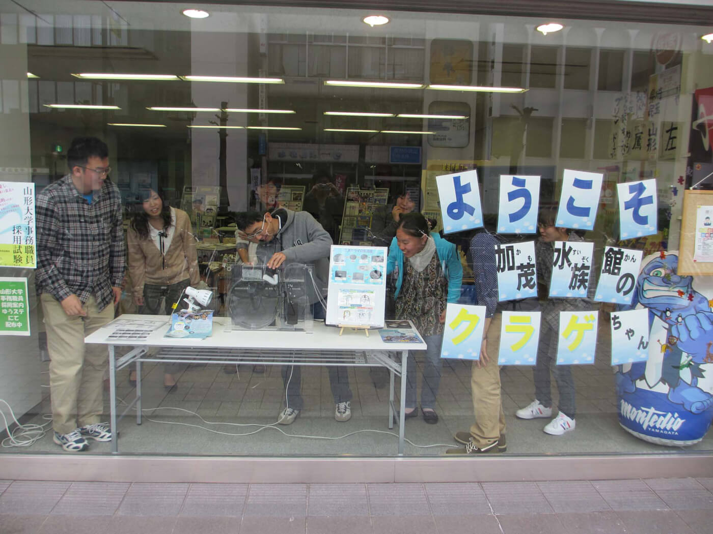 クラゲ飼育水槽貸出 画像3