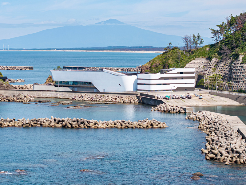 クラゲ展示数世界1の水族館