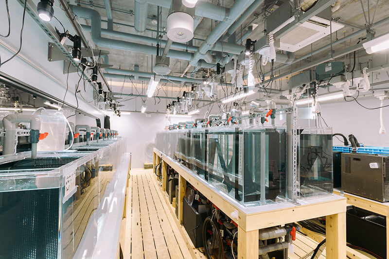 開催イベントの時間案内