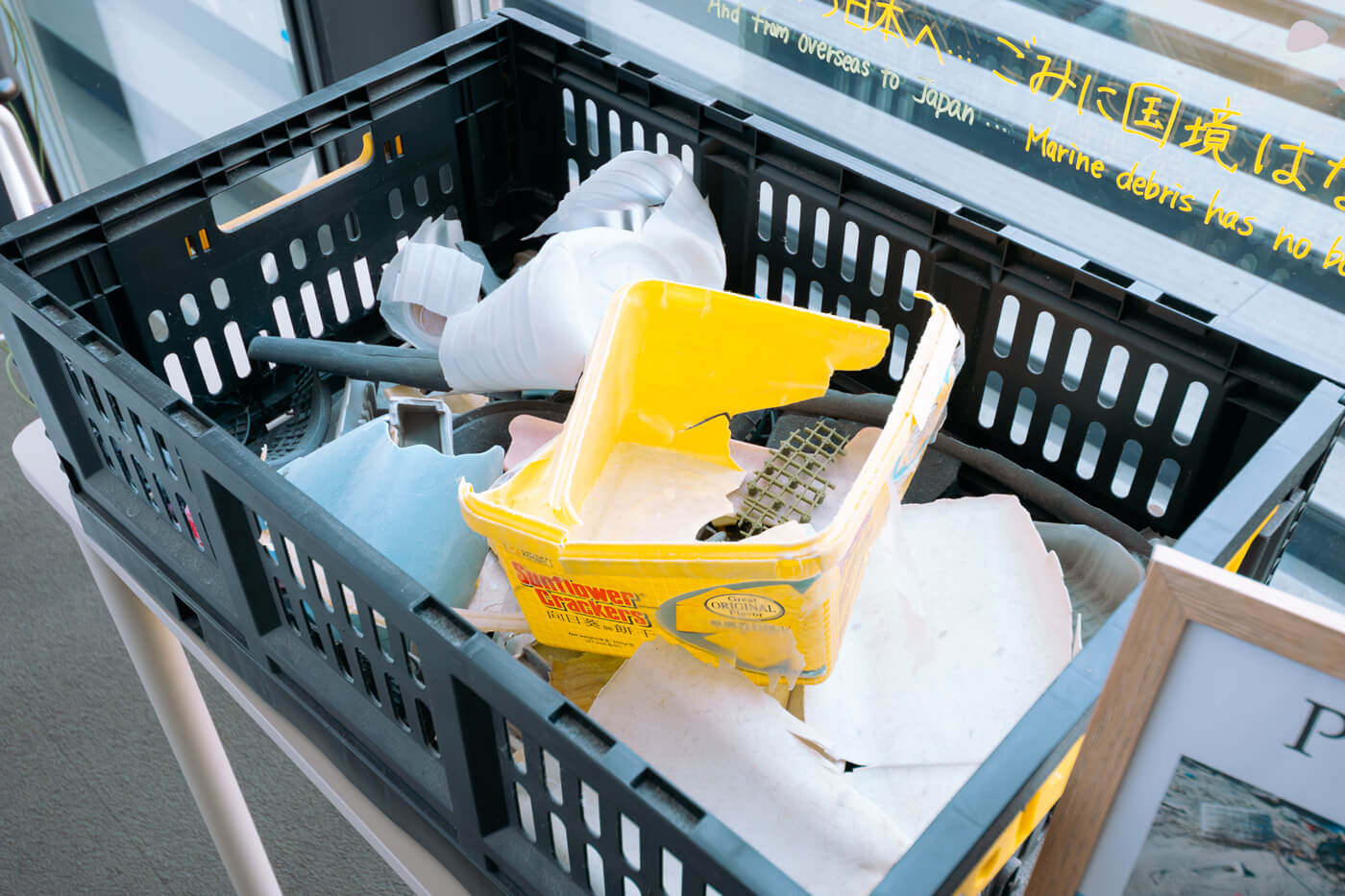 海ごみ学習会 画像2