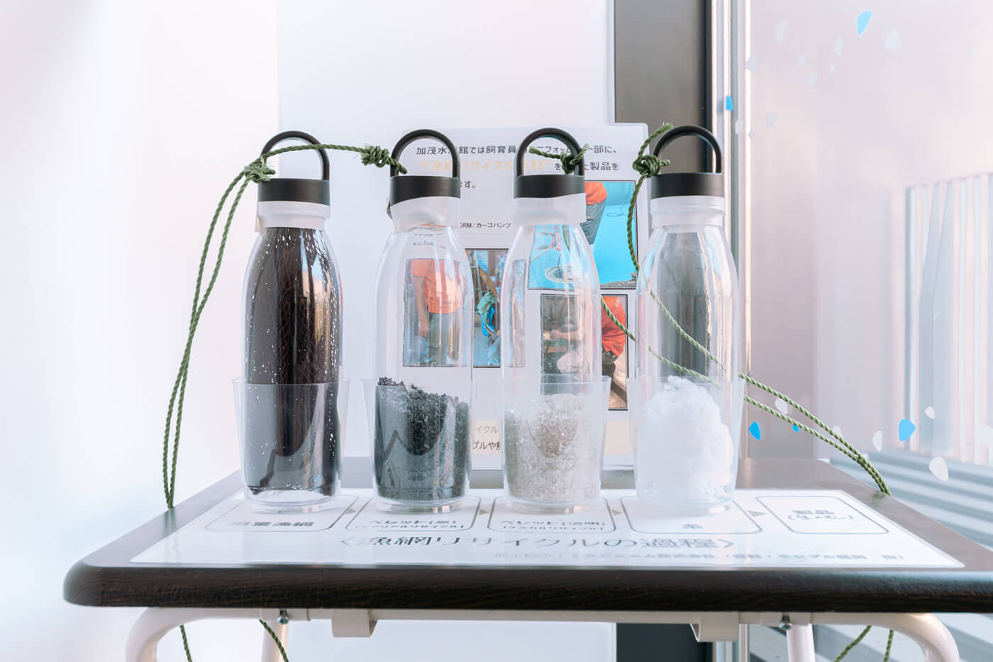 海ごみ学習会 画像4