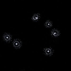 ヒラタオベリア