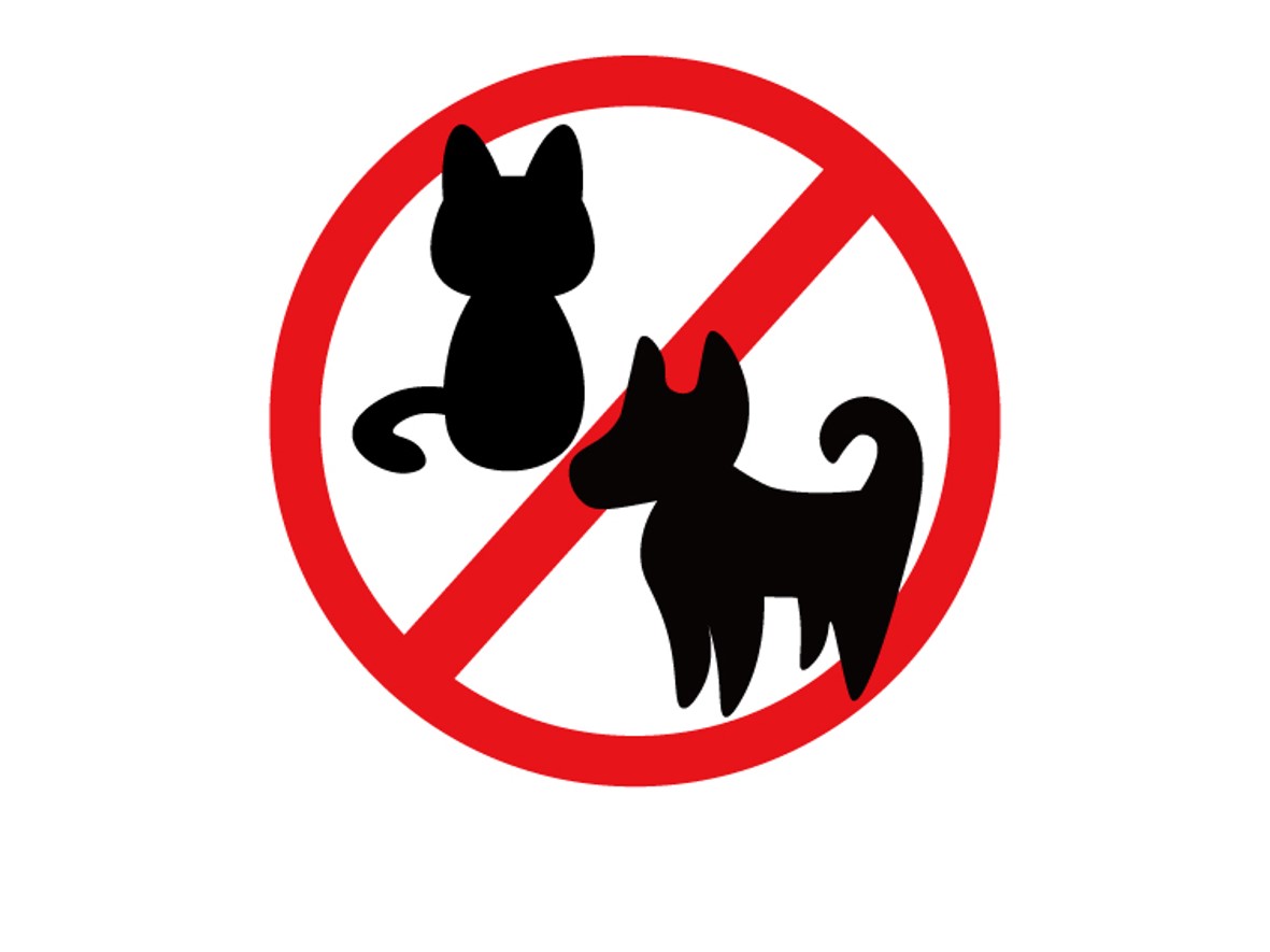 ペットを連れての入館はできません