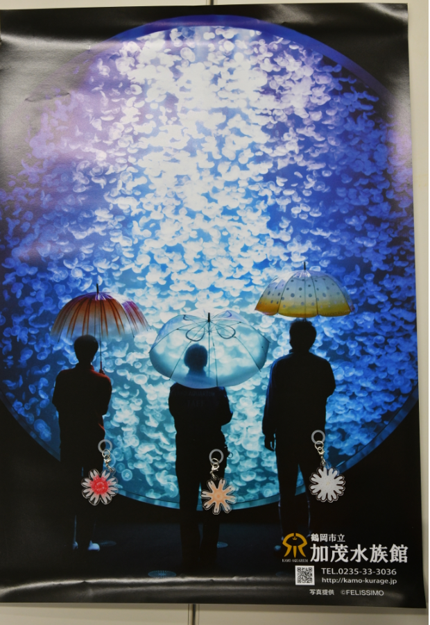 鶴岡市立加茂水族館 » コラボ商品 雨空を泳ぐクラゲの傘について