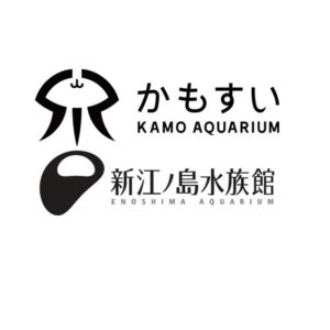 新江ノ島水族館と共同で論文を発表しました。
