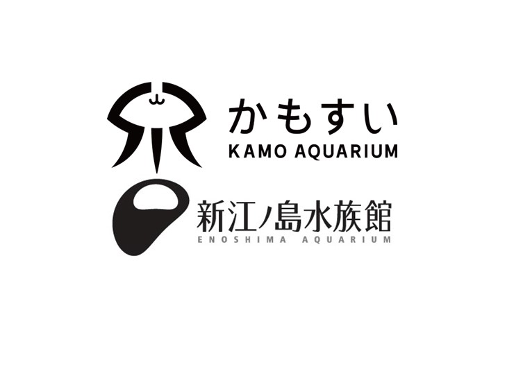 新江ノ島水族館と共同で論文を発表しました。
