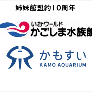 かごしま水族館との姉妹館盟約10周年記念