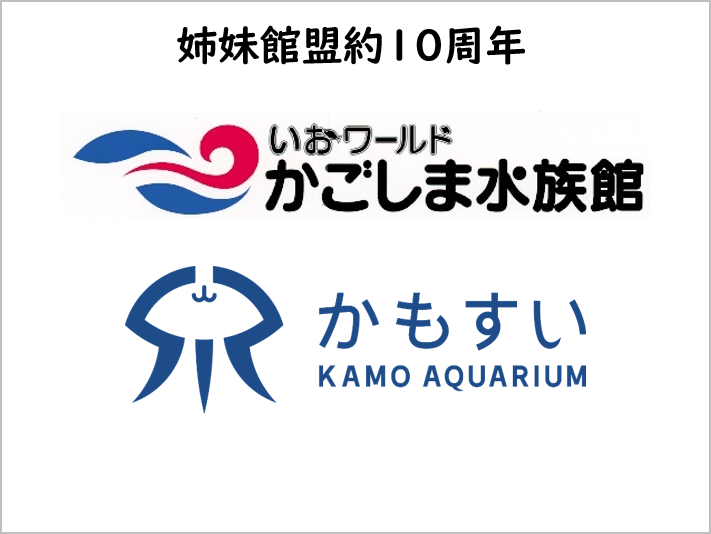 かごしま水族館との姉妹館盟約10周年記念