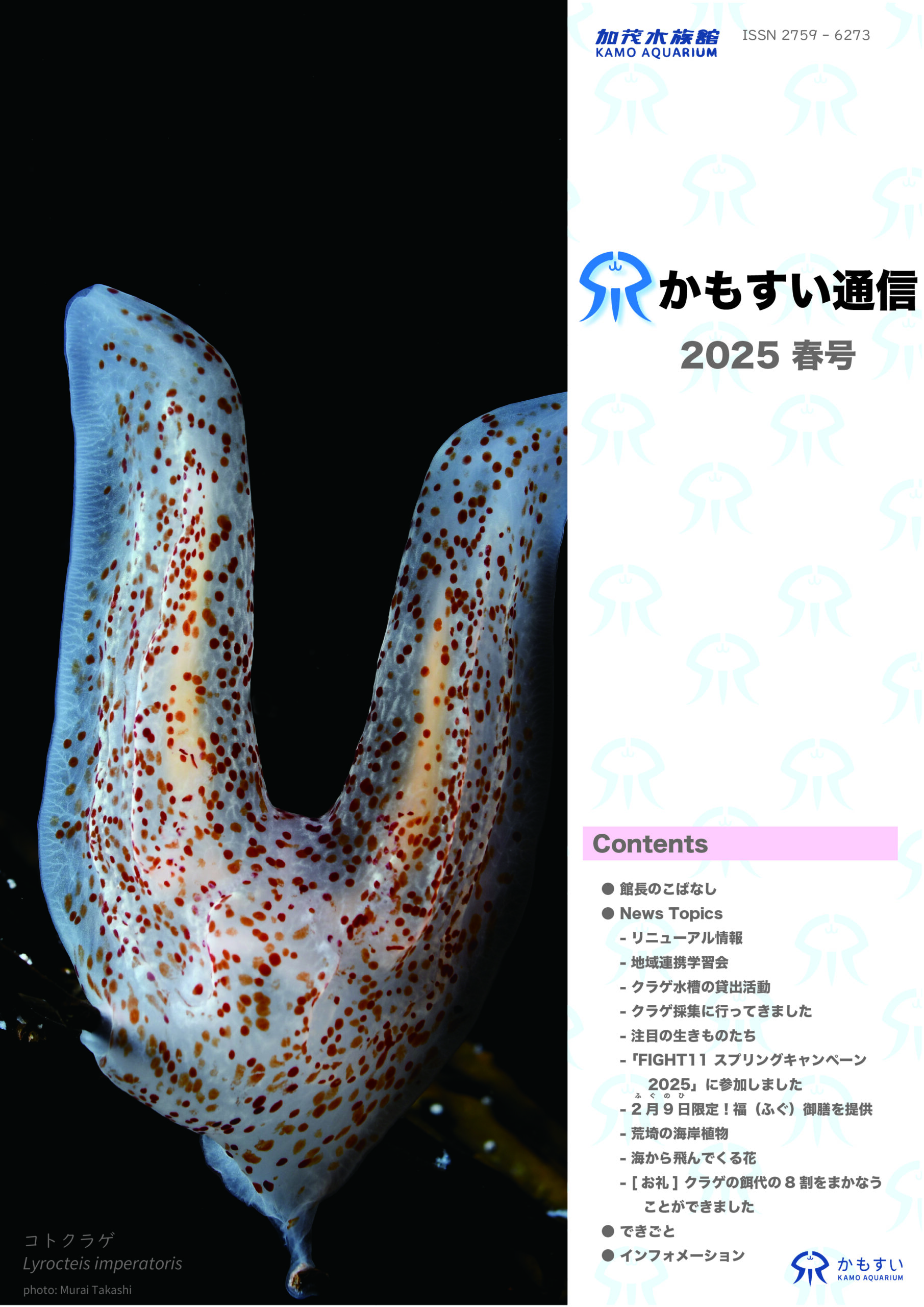 機関誌「かもすい通信」 2025年春号（通号4号）を発行しました。