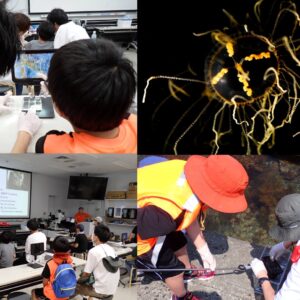 【募集開始‼】6/15(日)開催：2025年度カギノテクラゲ採集とクラゲ学習会