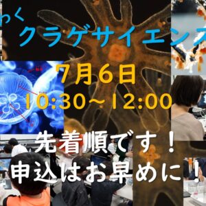 7/6(日)わくわくクラゲサイエンス