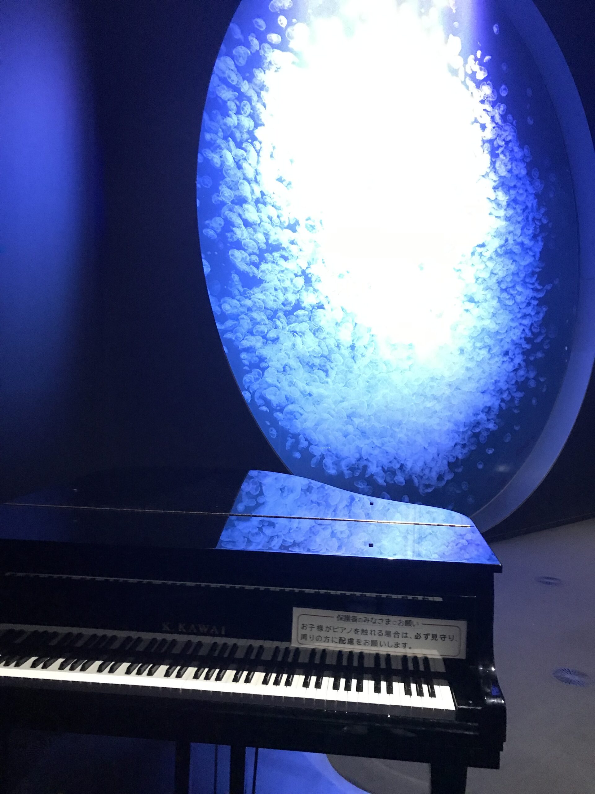 つるおかストピ選手権 inカモスイ＆タクト」終了のお知らせ