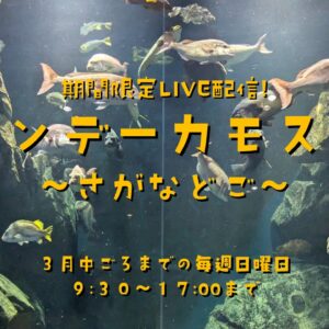 休館中の期間限定LIVE配信を始めます！