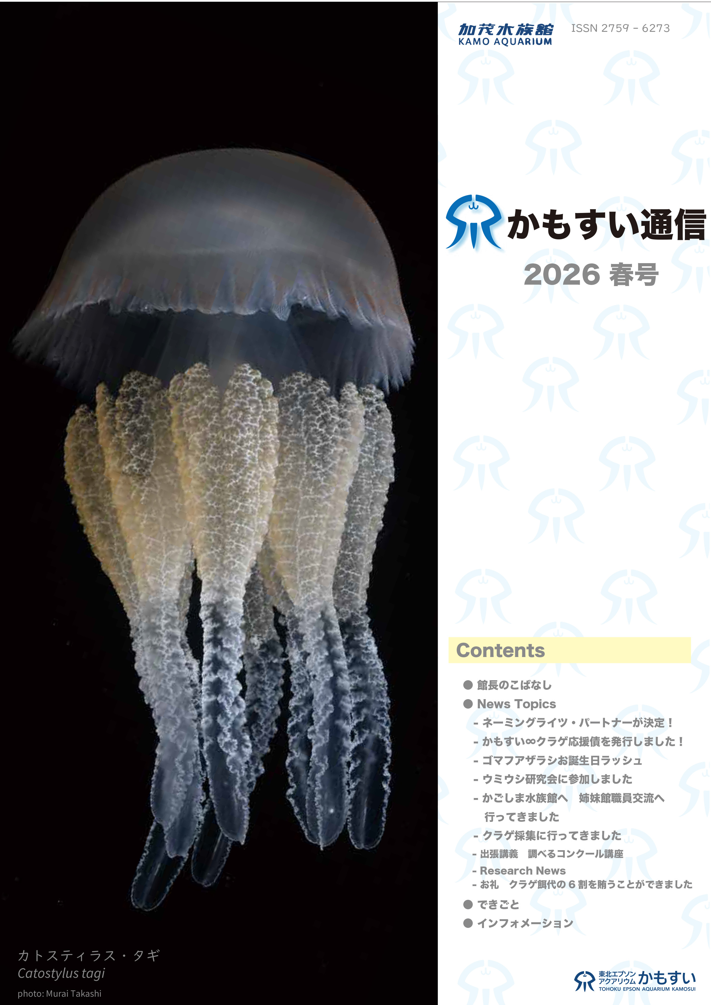 かもすい通信 2025年冬号