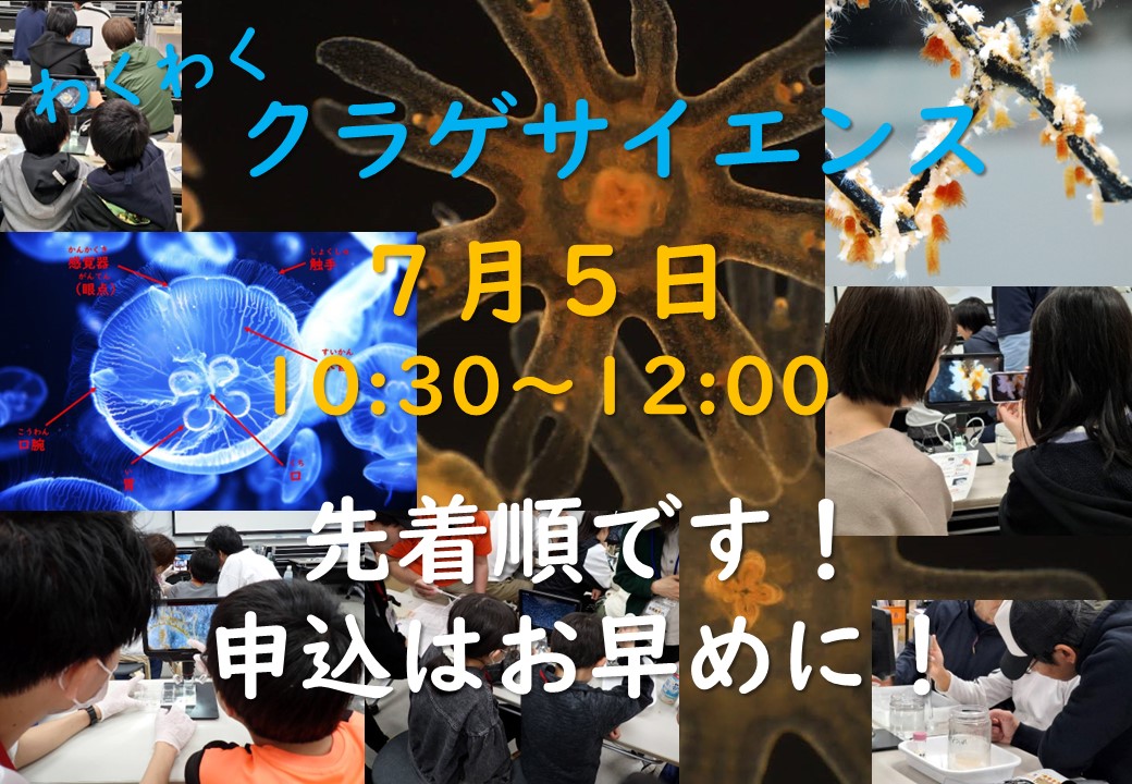 【6/5(金)12時より募集開始‼️】7/5(日)わくわくクラゲサイエンス