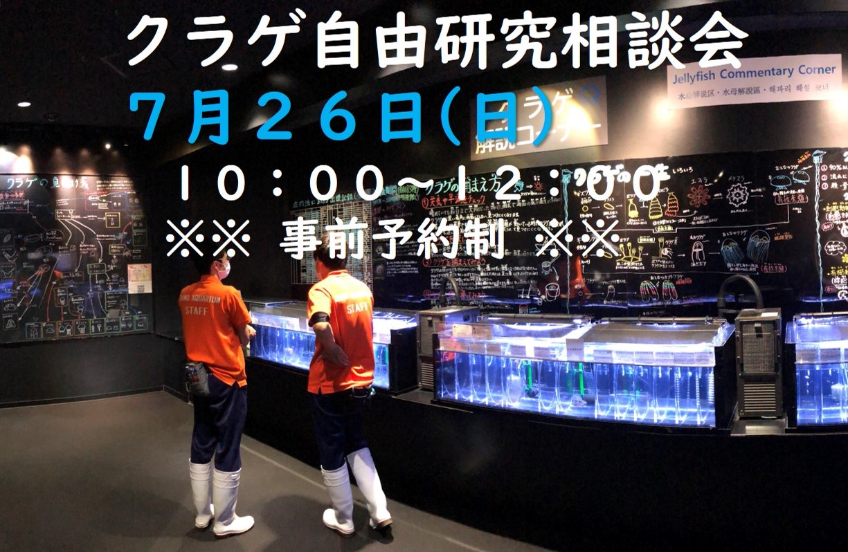 【6/26(金)より募集開始‼】7/26(日)夏休みクラゲ自由研究相談会