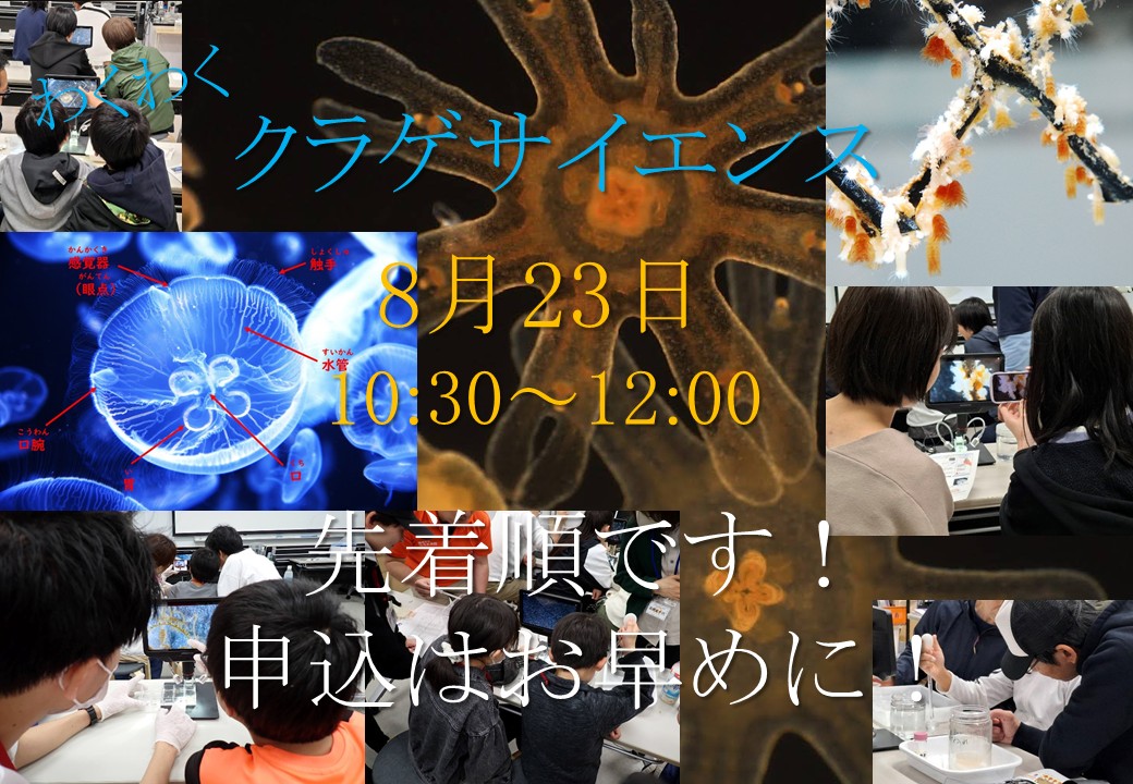 【7/24(金)募集開始】8/23(日)わくわくクラゲサイエンス